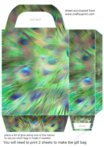 All about the peacock gift bag 5