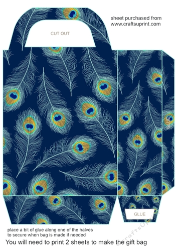 All about the peacock gift bag 6