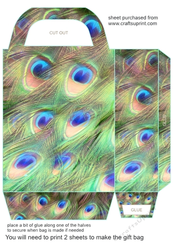 All about the peacock gift bag 7