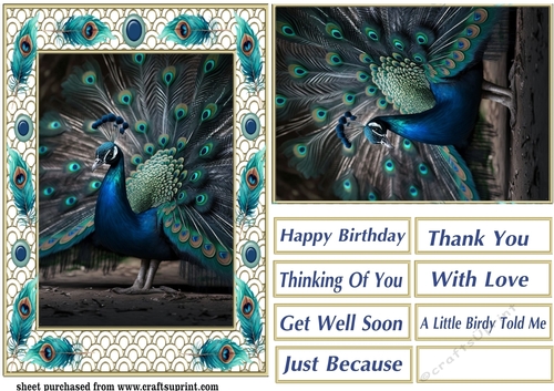 Peacock in frame card front 10