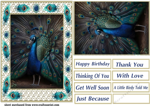 Peacock in frame card front 11