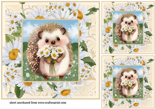 3 Cute daisy hedgehog card fronts/toppers 1