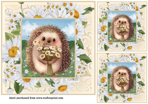 3 Cute daisy hedgehog card fronts/toppers 2