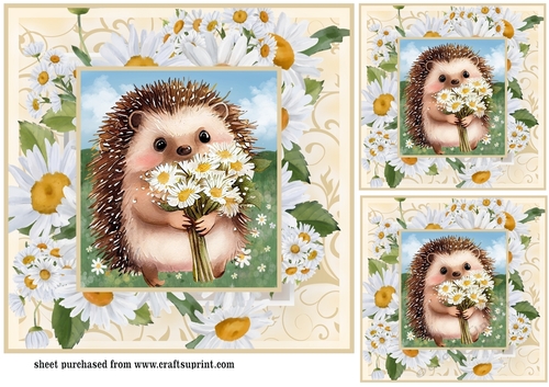 3 Cute daisy hedgehog card fronts/toppers 4
