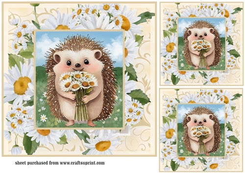 3 Cute daisy hedgehog card fronts/toppers 5