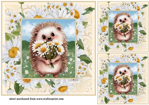 3 Cute daisy hedgehog card fronts/toppers 6