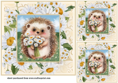3 Cute daisy hedgehog card fronts/toppers 7