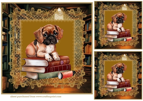 3 Puppy in library card fronts/toppers 5