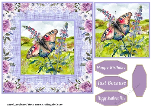 Purple butterfly card front 1