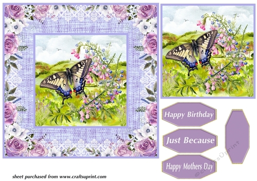 Purple butterfly card front 4