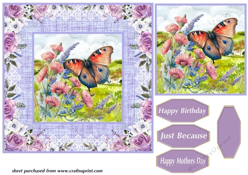 Purple butterfly card front 6