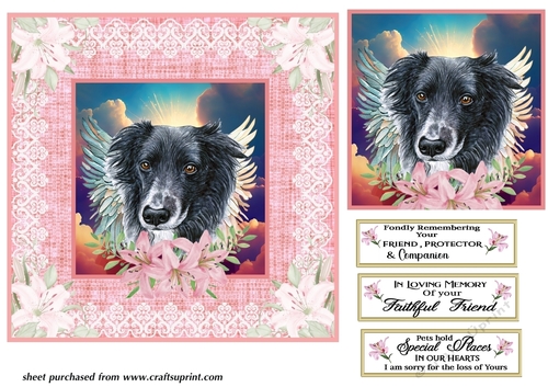 All good dogs card front 5
