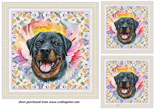3 Rottweiler sympathy card fronts/toppers 1