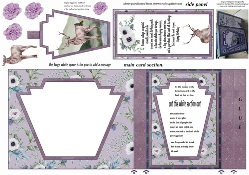 Highland Stag aperture card