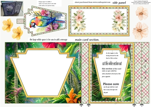 Parrot aperture card 1