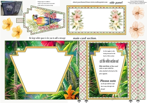 Parrot aperture card 2