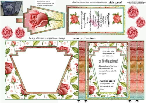 Red rose Birthday aperture card 4
