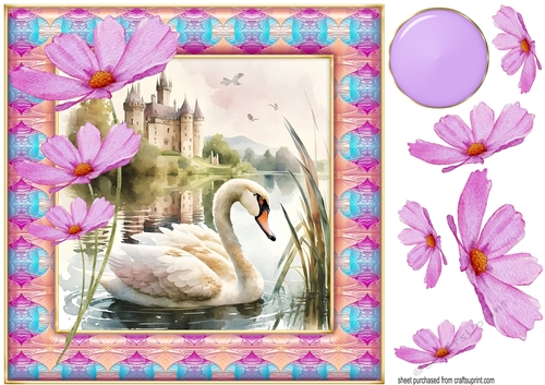 Swan on lake card front 2