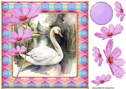 Swan on lake card front 3