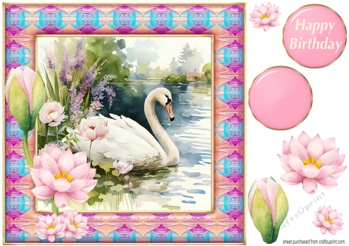 Swan on lake card front 4