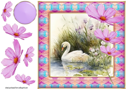 Swan on lake card front 5