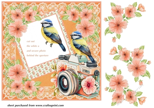 Orange floral watch the birdie Birthday photo card front