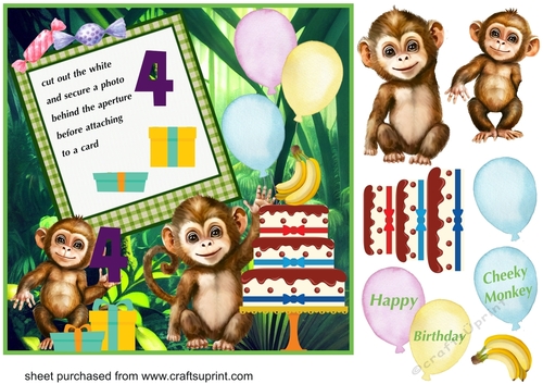 Cheeky Monkey age 4 photo Birthday card front