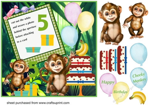 Cheeky Monkey age 5 photo Birthday card front