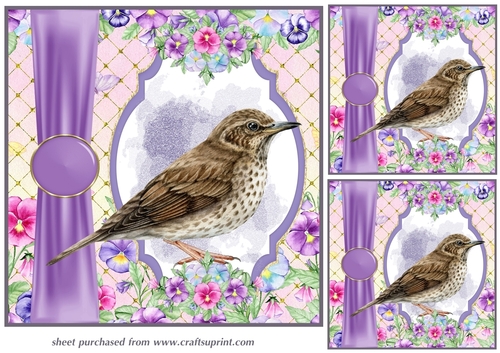 3 Pansy bird card fronts/toppers 5
