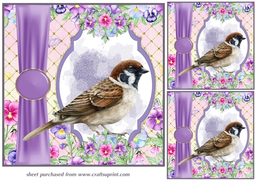 3 Pansy bird card fronts/toppers 6