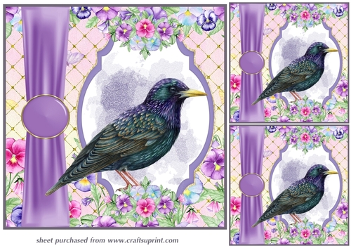3 Pansy bird card fronts/toppers 7