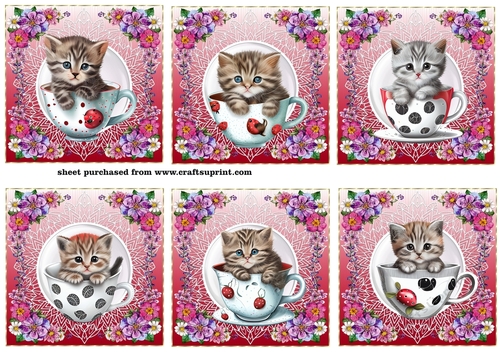 6 Floral kitten in cup toppers