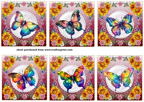 6 Floral rainbow butterfly toppers