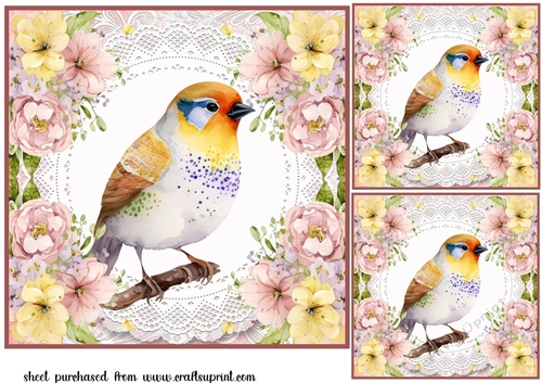 3 Floral bird card fronts/toppers 3