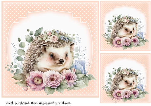 3 Floral hedgehog card front/toppers(n)