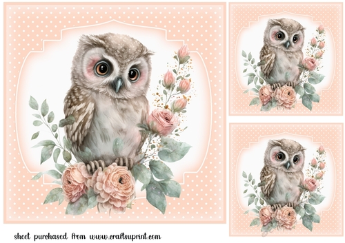 3 Floral owl card front/toppers(n)