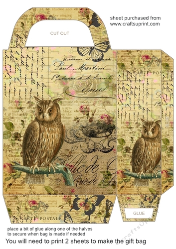Owl gift bag 1