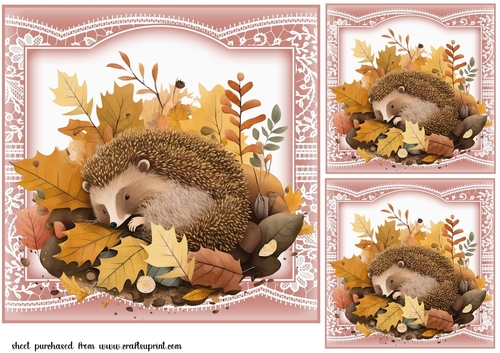 3 The sleepy hedgehog card fronts/toppers