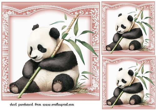 3 The sleepy panda card fronts/toppers
