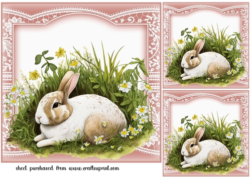 3 The sleepy rabbit card fronts/toppers