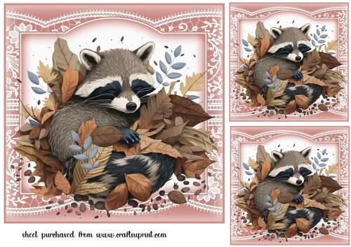 3 The sleepy racoon card fronts/toppers