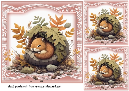 3 The sleepy squirrel card fronts/toppers