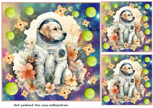 3 Floral space pooch card fronts/toppers 1