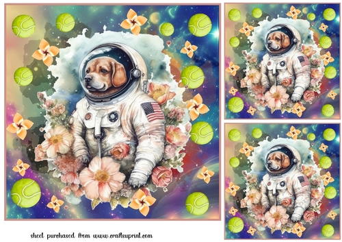 3 Floral space pooch card fronts/toppers 2