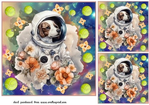 3 Floral space pooch card fronts/toppers 3