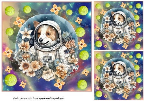 3 Floral space pooch card fronts/toppers 4