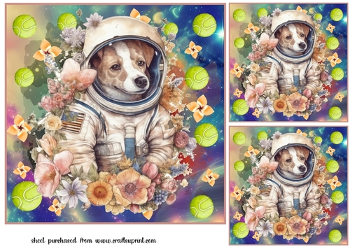 3 Floral space pooch card fronts/toppers 5