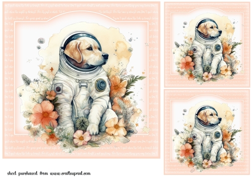 3 Floral astro dog card fronts/toppers