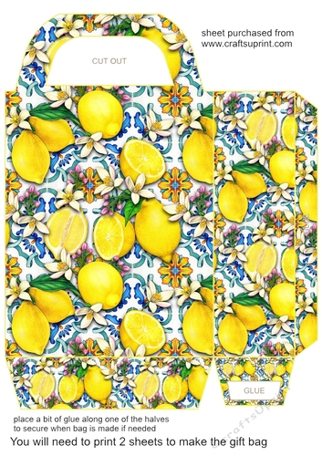 All about the lemons gift bag 1