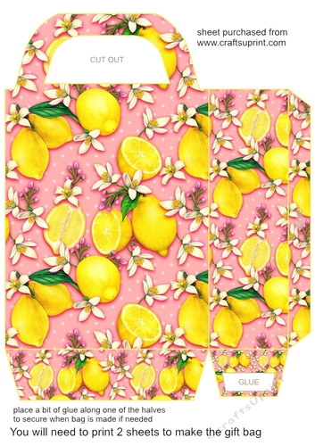 All about the lemons gift bag 2